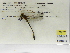  ( - INB0004316011)  @12 [ ] Copyright (2012) B. Haber Instituto Nacional de Biodiversidad