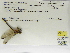  ( - INB0004316025)  @11 [ ] Copyright (2012) B. Haber Instituto Nacional de Biodiversidad