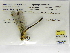  ( - INB0004316207)  @11 [ ] Copyright (2012) B. Haber Instituto Nacional de Biodiversidad