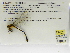  ( - INB0004316209)  @11 [ ] Copyright (2012) B. Haber Instituto Nacional de Biodiversidad