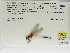  ( - INB0004316217)  @11 [ ] Copyright (2012) B. Haber Instituto Nacional de Biodiversidad