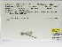  ( - INB0004316240)  @11 [ ] Copyright (2012) B. Haber Instituto Nacional de Biodiversidad