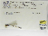 ( - INB0004316271)  @11 [ ] Copyright (2012) B. Haber Instituto Nacional de Biodiversidad