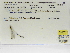  ( - INB0004316302)  @11 [ ] Copyright (2012) B. Haber Instituto Nacional de Biodiversidad