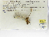  ( - INB0004316310)  @11 [ ] Copyright (2012) B. Haber Instituto Nacional de Biodiversidad