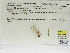  ( - INB0004316316)  @11 [ ] Copyright (2012) B. Haber Instituto Nacional de Biodiversidad