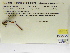  ( - INB0004316327)  @11 [ ] Copyright (2012) B. Haber Instituto Nacional de Biodiversidad