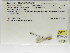  ( - INB0004316338)  @11 [ ] Copyright (2012) B. Haber Instituto Nacional de Biodiversidad