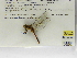  ( - INB0004316363)  @12 [ ] Copyright (2012) B. Haber Instituto Nacional de Biodiversidad