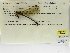  ( - INB0004316374)  @11 [ ] Copyright (2012) B. Haber Instituto Nacional de Biodiversidad