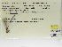 ( - INB0004316375)  @12 [ ] Copyright (2012) B. Haber Instituto Nacional de Biodiversidad