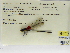  ( - INB0004316379)  @11 [ ] Copyright (2012) B. Haber Instituto Nacional de Biodiversidad
