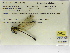  ( - INB0004316495)  @11 [ ] Copyright (2012) B. Haber Instituto Nacional de Biodiversidad
