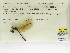  ( - INB0004316509)  @11 [ ] Copyright (2012) B. Haber Instituto Nacional de Biodiversidad