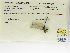  ( - INB0004316510)  @11 [ ] Copyright (2012) B. Haber Instituto Nacional de Biodiversidad