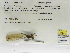  ( - INB0004316514)  @11 [ ] Copyright (2012) B. Haber Instituto Nacional de Biodiversidad