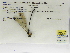  ( - INB0004316587)  @11 [ ] Copyright (2012) B. Haber Instituto Nacional de Biodiversidad