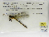  ( - INB0004316590)  @11 [ ] Copyright (2012) B. Haber Instituto Nacional de Biodiversidad