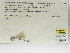  ( - INB0004316608)  @12 [ ] Copyright (2012) B. Haber Instituto Nacional de Biodiversidad