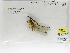  ( - INB0004318650)  @12 [ ] Copyright (2012) B. Haber Instituto Nacional de Biodiversidad