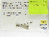  ( - INB0004318741)  @11 [ ] Copyright (2012) B. Haber Instituto Nacional de Biodiversidad