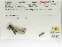  ( - INB0004318745)  @11 [ ] Copyright (2012) B. Haber Instituto Nacional de Biodiversidad
