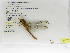  ( - INBIOCRI002725055)  @12 [ ] Copyright (2012) B. Haber Instituto Nacional de Biodiversidad