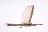  ( - INB0004178694)  @11 [ ] Copyright (2012) I. Cruz Instituto Nacional de Biodiversidad