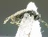  ( - USNM00504262)  @13 [ ] Unspecified (default): All Rights Reserved  Unspecified Unspecified