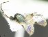  ( - USNM00496673)  @11 [ ] Unspecified (default): All Rights Reserved  Unspecified Unspecified