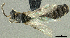  ( - HP0015)  @14 [ ] CreativeCommons - Attribution Non-Commercial Share-Alike (2011) Milan Janda Czech Academy of Sciences