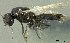  ( - HP0099)  @12 [ ] CreativeCommons - Attribution Non-Commercial Share-Alike (2011) Milan Janda Czech Academy of Sciences