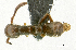  ( - MJ9231)  @13 [ ] CreativeCommons - Attribution Non-Commercial Share-Alike (2011) Milan Janda Czech Academy of Sciences