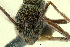  ( - PK-EE079)  @12 [ ] CreativeCommons - Attribution Non-Commercial Share-Alike (2011) Milan Janda Czech Academy of Sciences