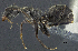  ( - PK-EE128-D02)  @14 [ ] CreativeCommons - Attribution Non-Commercial Share-Alike (2011) Milan Janda Czech Academy of Sciences