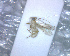  ( - BCLDQ00063)  @12 [ ] Unspecified (default): All Rights Reserved  Unspecified Unspecified