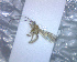  ( - BCLDQ00102)  @12 [ ] Unspecified (default): All Rights Reserved  Unspecified Unspecified