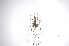  ( - INB0003130998)  @11 [ ] Copyright (2012) A. Solis Instituto Nacional de Biodiversidad