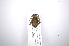  ( - INB0003172200)  @11 [ ] Copyright (2012) A. Solis Instituto Nacional de Biodiversidad