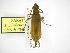  ( - INB0003173352)  @11 [ ] Copyright (2012) A. Solis Instituto Nacional de Biodiversidad