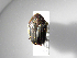  ( - INB0003320007)  @11 [ ] Copyright (2010) A. Solis Unspecified