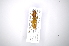  ( - INB0003358197)  @11 [ ] Copyright (2012) A. Solis Instituto Nacional de Biodiversidad