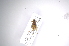  ( - INB0003501208)  @12 [ ] Copyright (2012) A. Solis Instituto Nacional de Biodiversidad