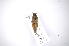  ( - INB0003504791)  @11 [ ] Copyright (2012) A. Solis Instituto Nacional de Biodiversidad