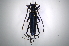  (Callichroma cyanomelas - INB0003740195)  @14 [ ] Copyright (2012) A. Solis Instituto Nacional de Biodiversidad