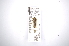  ( - INBIOCRI000175563)  @11 [ ] Copyright (2012) A. Solis Instituto Nacional de Biodiversidad