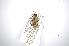  ( - INBIOCRI000419065)  @11 [ ] Copyright (2012) A. Solis Instituto Nacional de Biodiversidad