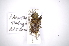  ( - INBIOCRI000748958)  @13 [ ] Copyright (2012) A. Solis Instituto Nacional de Biodiversidad