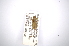  ( - INBIOCRI000772945)  @11 [ ] Copyright (2012) A. Solis Instituto Nacional de Biodiversidad