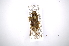  ( - INBIOCRI001041477)  @11 [ ] Copyright (2012) A. Solis Instituto Nacional de Biodiversidad
